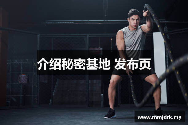 介绍秘密基地 发布页